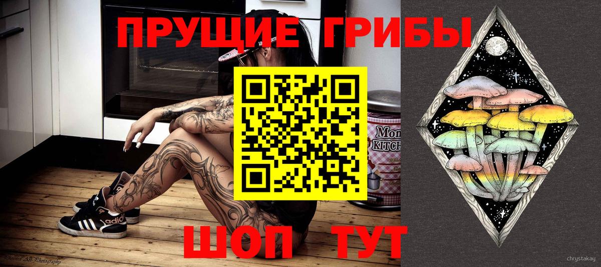 Псилоцибиновые грибы прущие грибы Гай