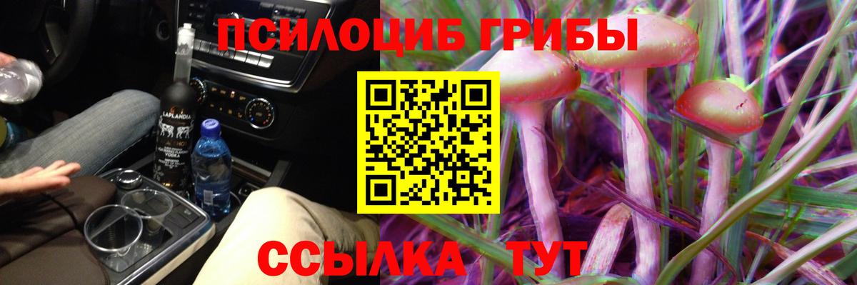 Гай  Галлюциногенные грибы Magic Shrooms  Вход с VPN 