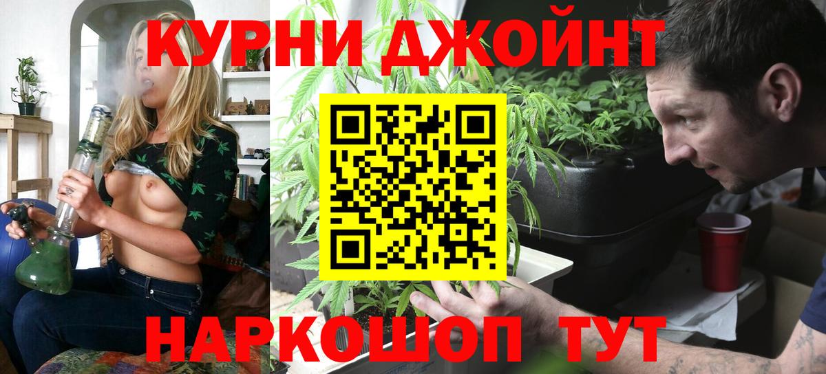 Канабис ГИДРОПОН Гай
